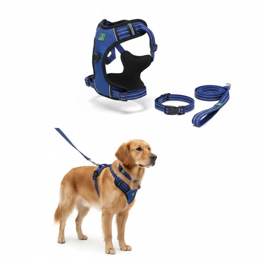 Healing Leaf Dog Harness | Dark Blue - Set of 3