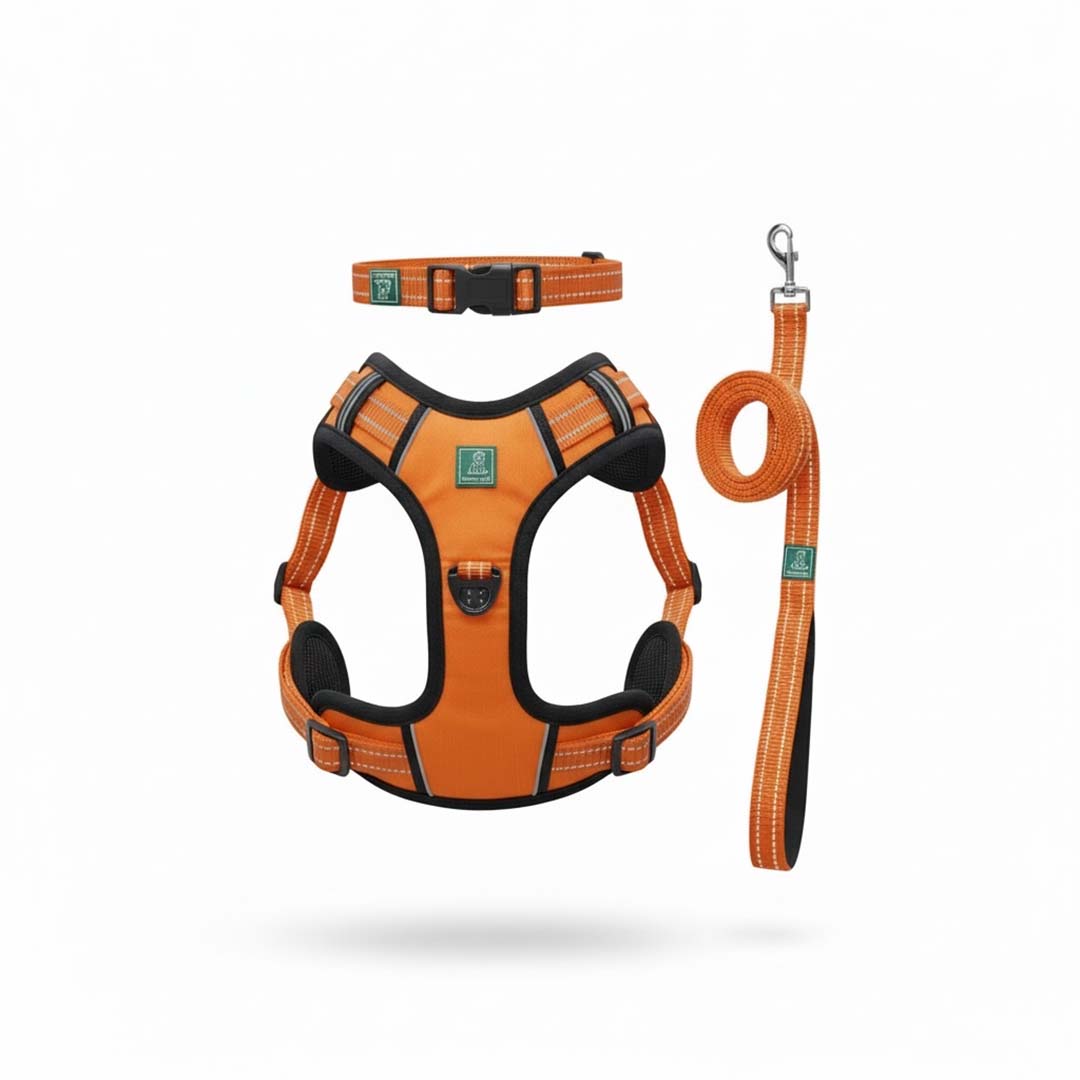 Healing Leaf Dog Harness | Orange - Set of 3