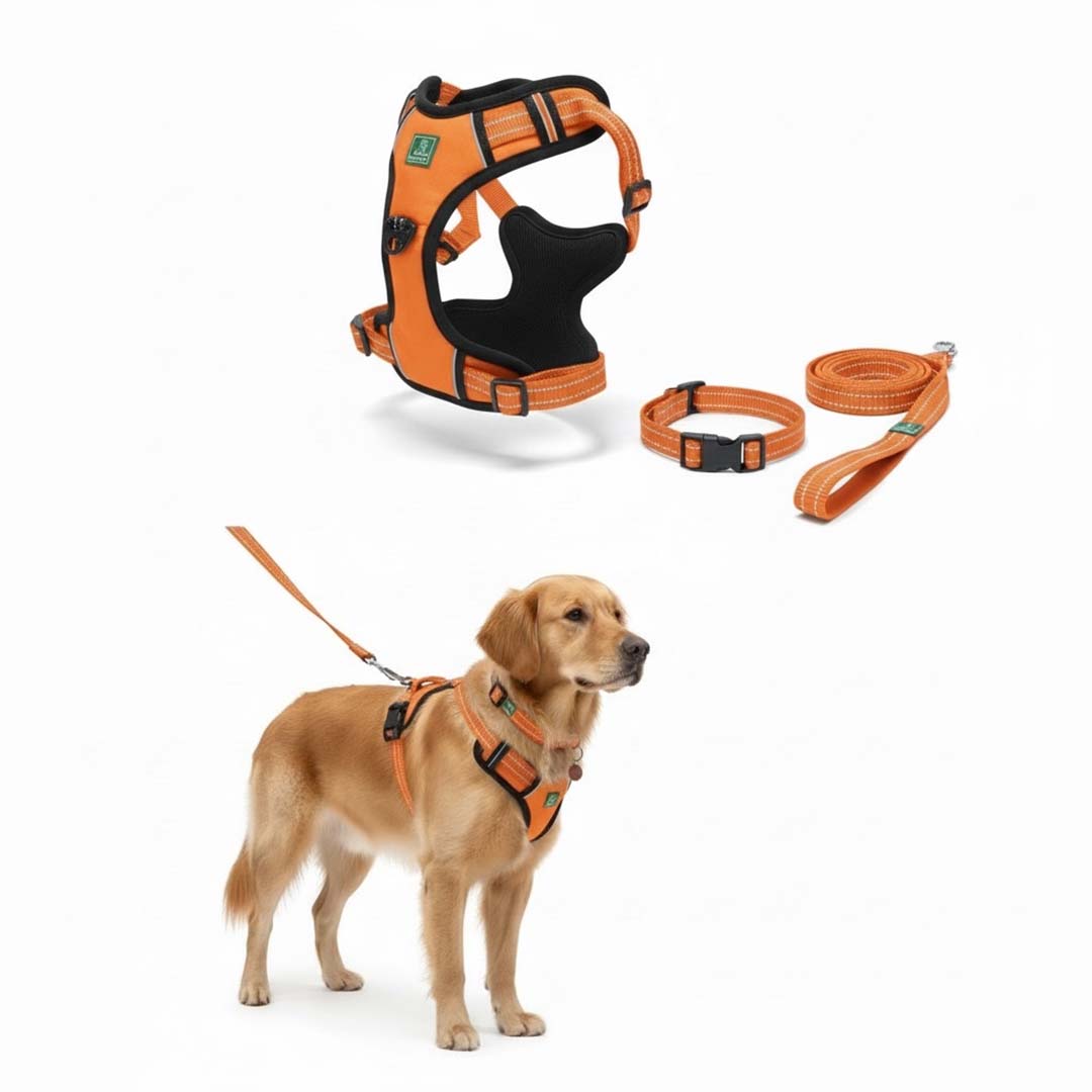 Healing Leaf Dog Harness | Orange - Set of 3