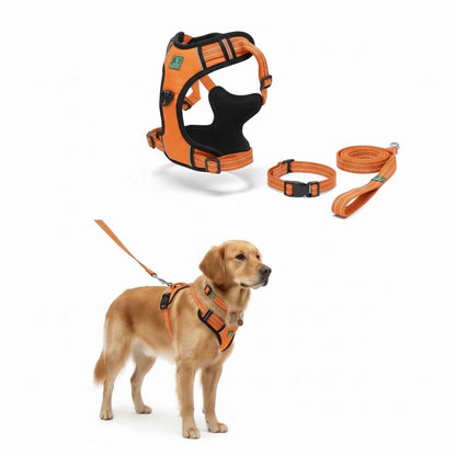 Healing Leaf Dog Harness | Orange - Set of 3