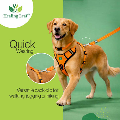 Healing Leaf Dog Harness | Orange - Set of 3