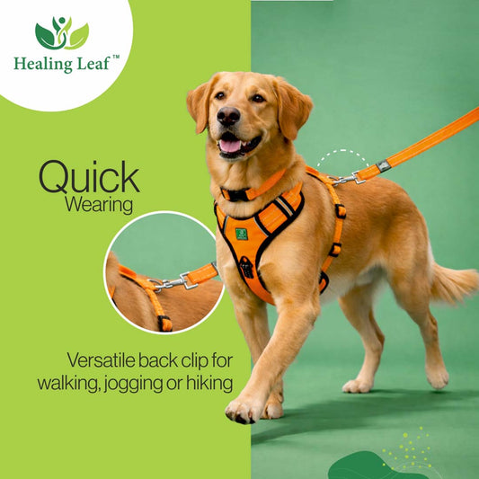 Healing Leaf Dog Harness | Orange - Set of 3