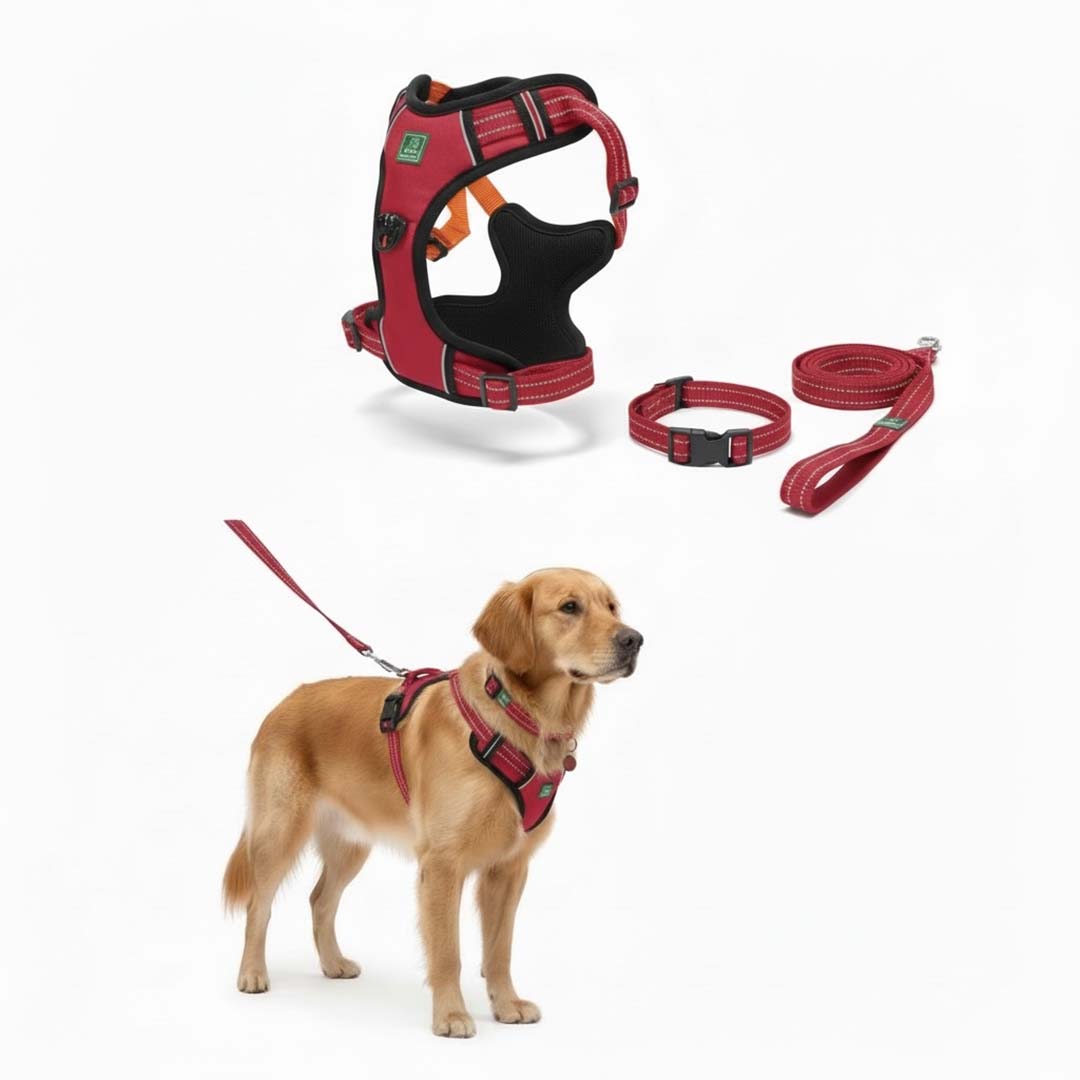 Healing Leaf Dog Harness | Red - Set Of 3