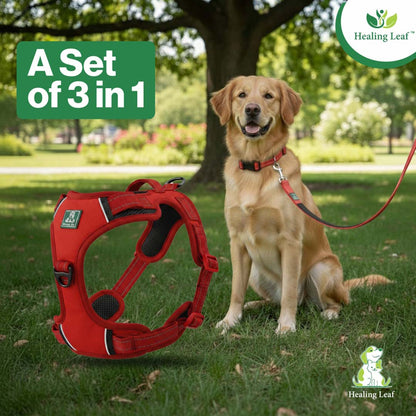 Healing Leaf Dog Harness | Red - Set Of 3