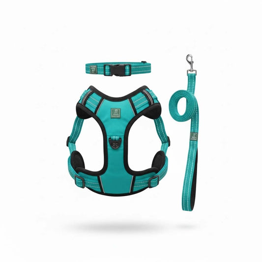 Healing Leaf Dog Harness | Teal Blue - Set of 3