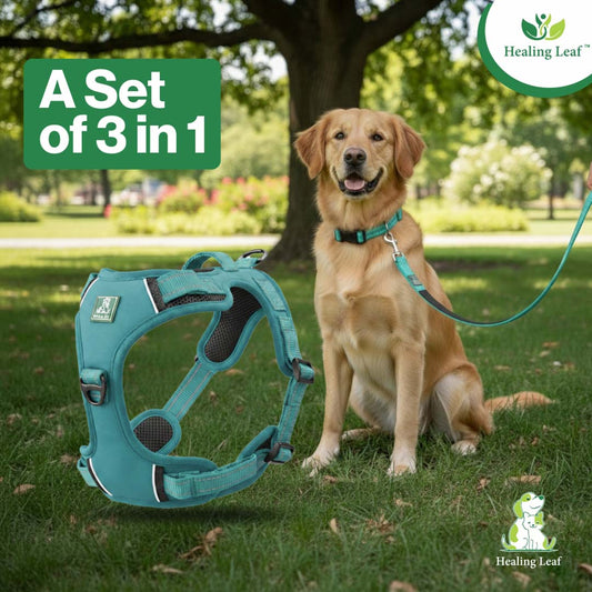 Healing Leaf Dog Harness | Teal Blue - Set of 3
