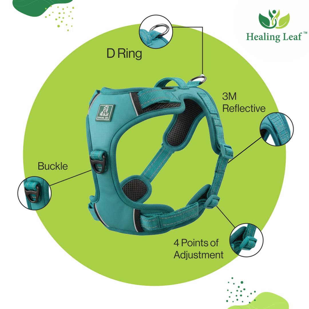 Healing Leaf Dog Harness | Teal Blue - Set of 3