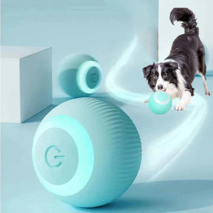 Healing Leaf Ineractive Ball