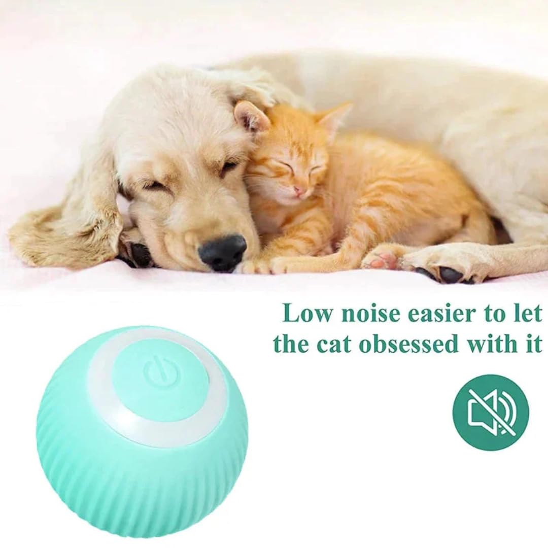 Healing Leaf Ineractive Ball