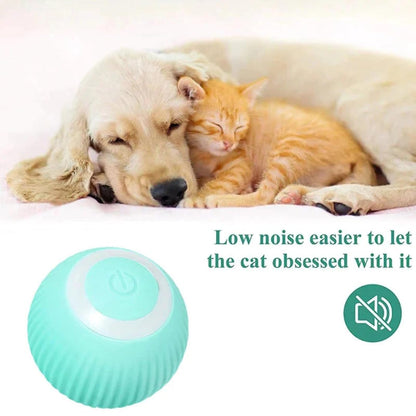 Healing Leaf Ineractive Ball
