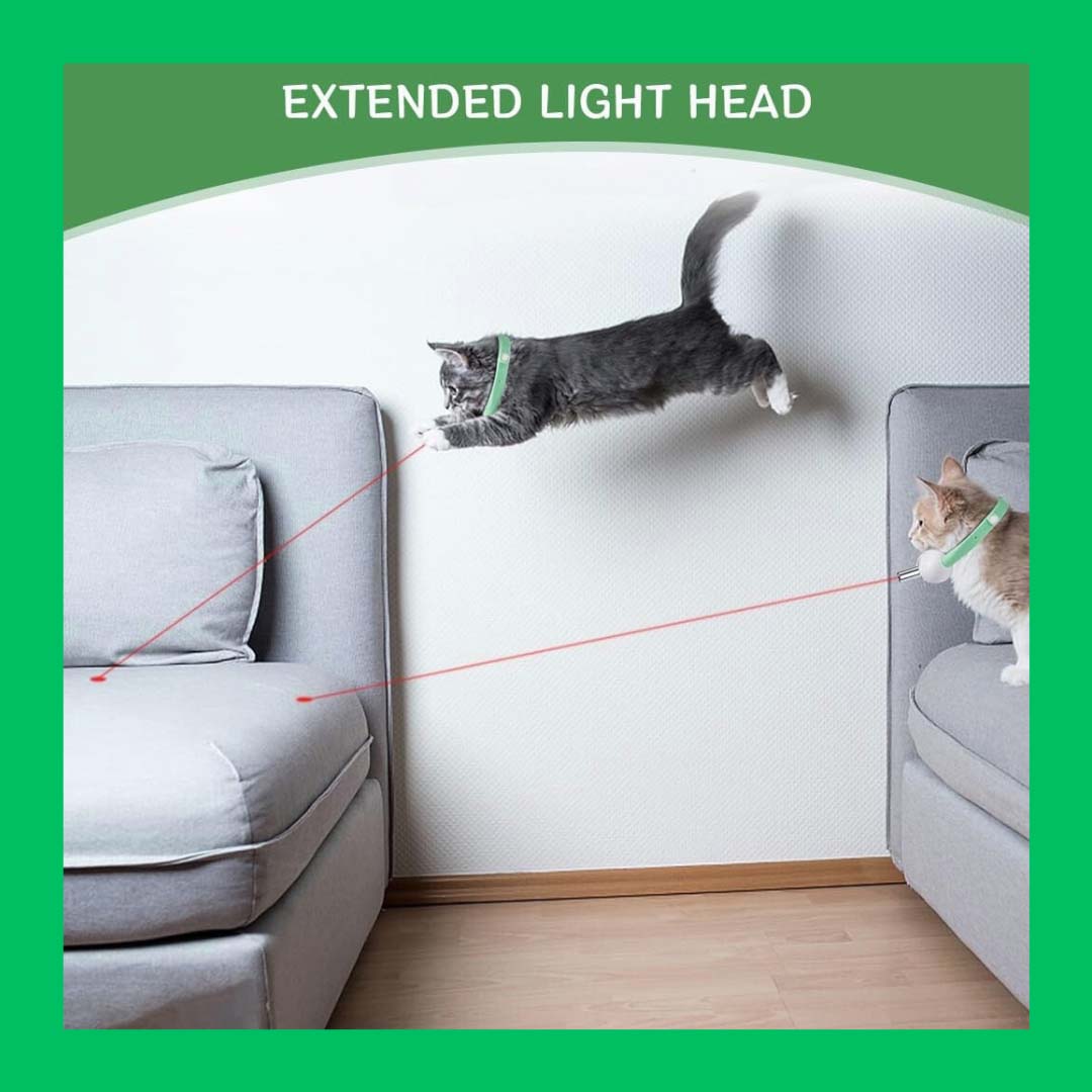 Healing Leaf Cat Laser Collar