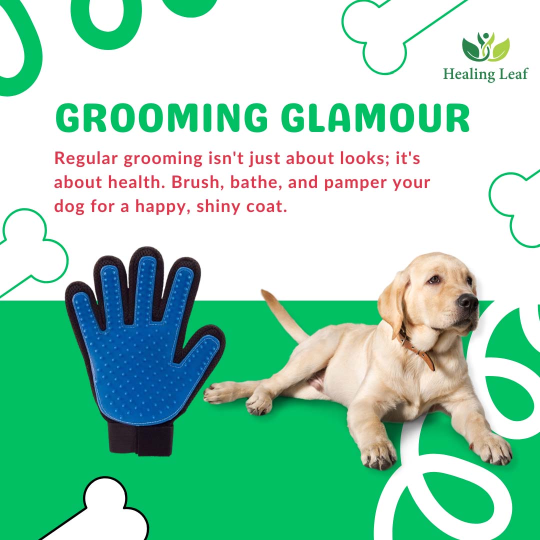 Healing Leaf Rubber Glover Brush