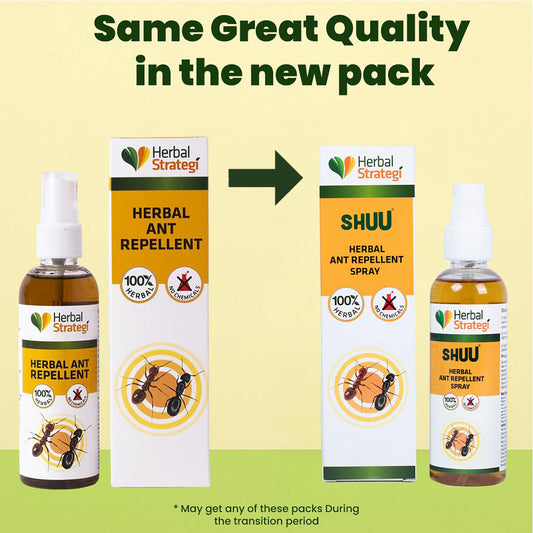 Herbal Strategi Herbal Ant Repellent Spray