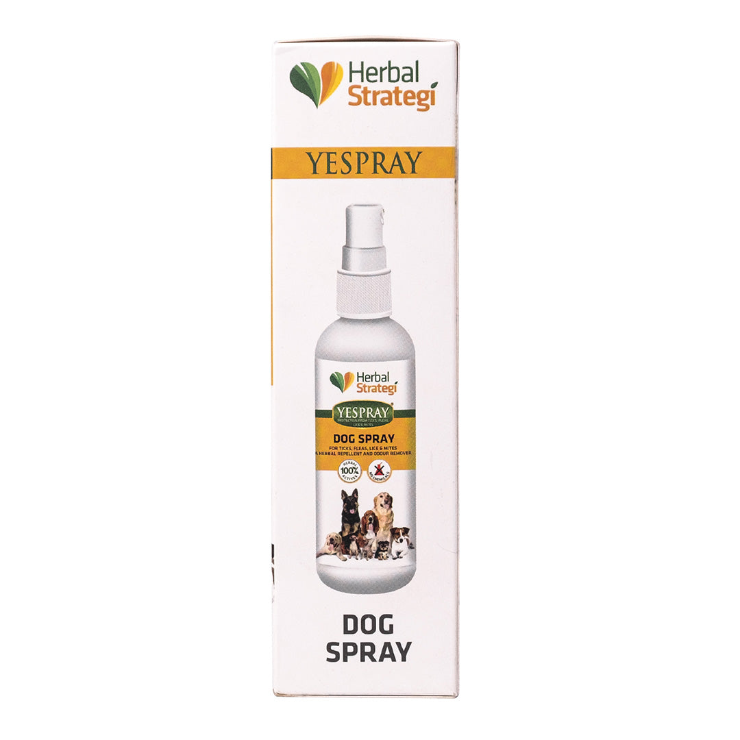 Herbal Strategi Herbal Ticks, Fleas, Lice and Mites Spray for Dogs