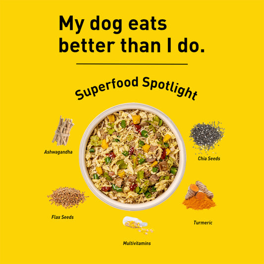 Homiee & Ginger Homiee & Ginger | Fresh Food For Dogs | Power Bowl | Chicken & Quinoa | Gluten Free Recipe
