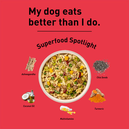 Homiee & Ginger Homiee & Ginger | Fresh Food For Dogs | Power Bowl | Chicken & Sweet Potato | Grain Free Diet