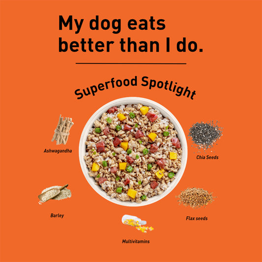Homiee & Ginger Homiee & Ginger | Power Bowl | Fresh Food for Dogs | Chicken & Barley