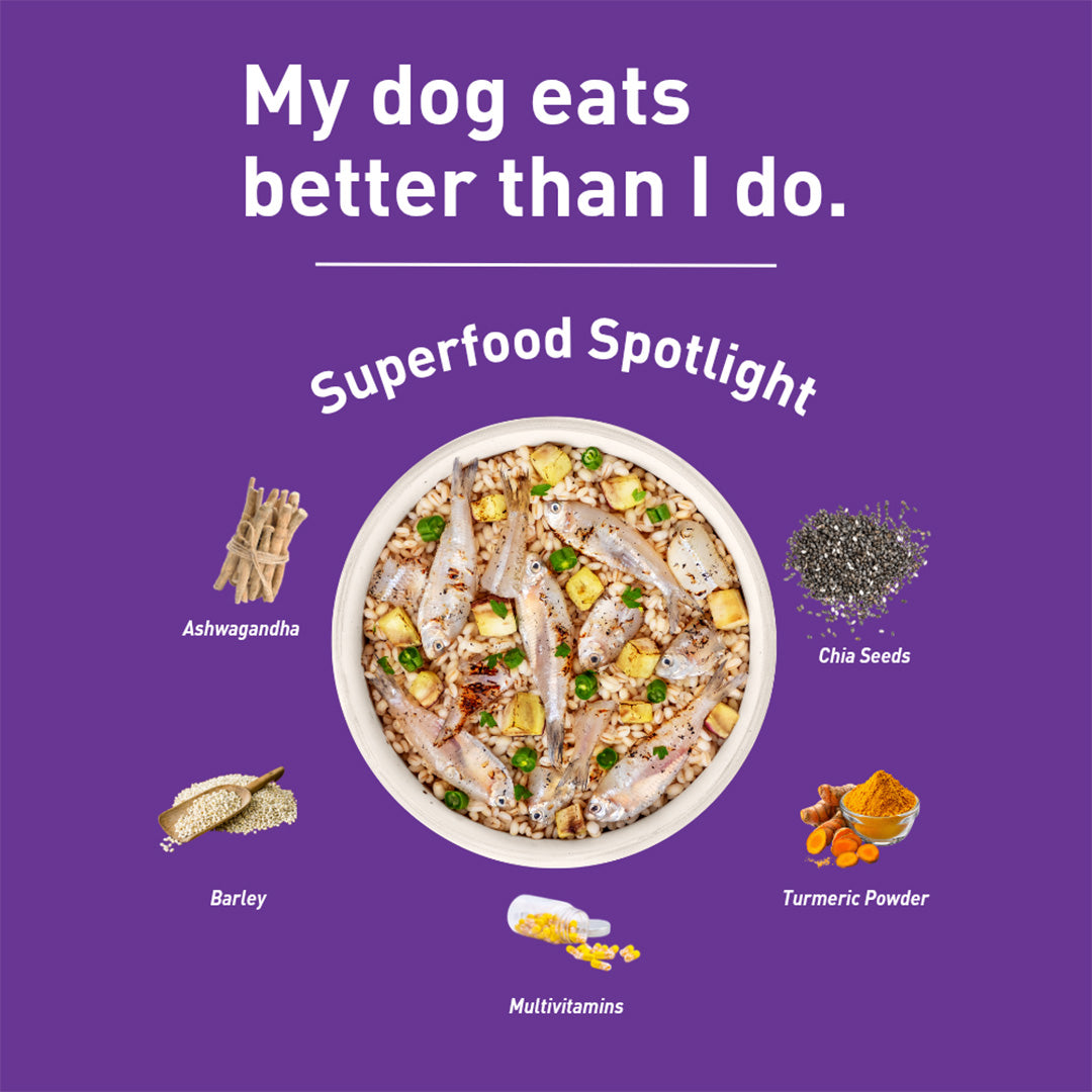 Homiee & Ginger Homiee & Ginger | Power Bowl | Fresh Food for Dogs | Fish Fiesta
