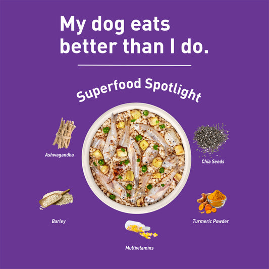 Homiee & Ginger Homiee & Ginger | Power Bowl | Fresh Food for Dogs | Fish Fiesta