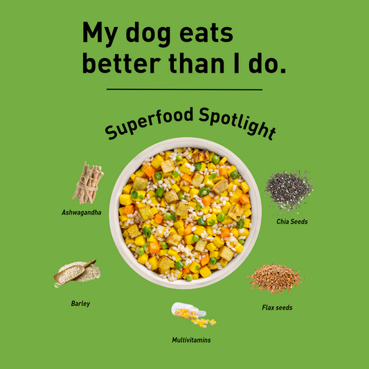 Homiee & Ginger Homiee & Ginger | Power Bowl | Fresh Food for Dogs | Paneer & Veggies