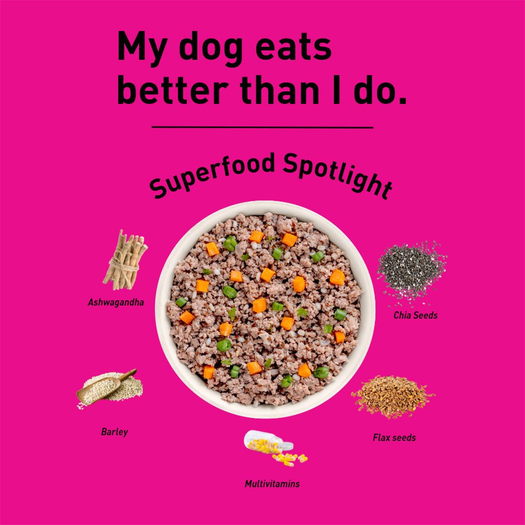 Homiee & Ginger Homiee & Ginger | Power Bowl | Fresh Food for Dogs | Surf & Turf