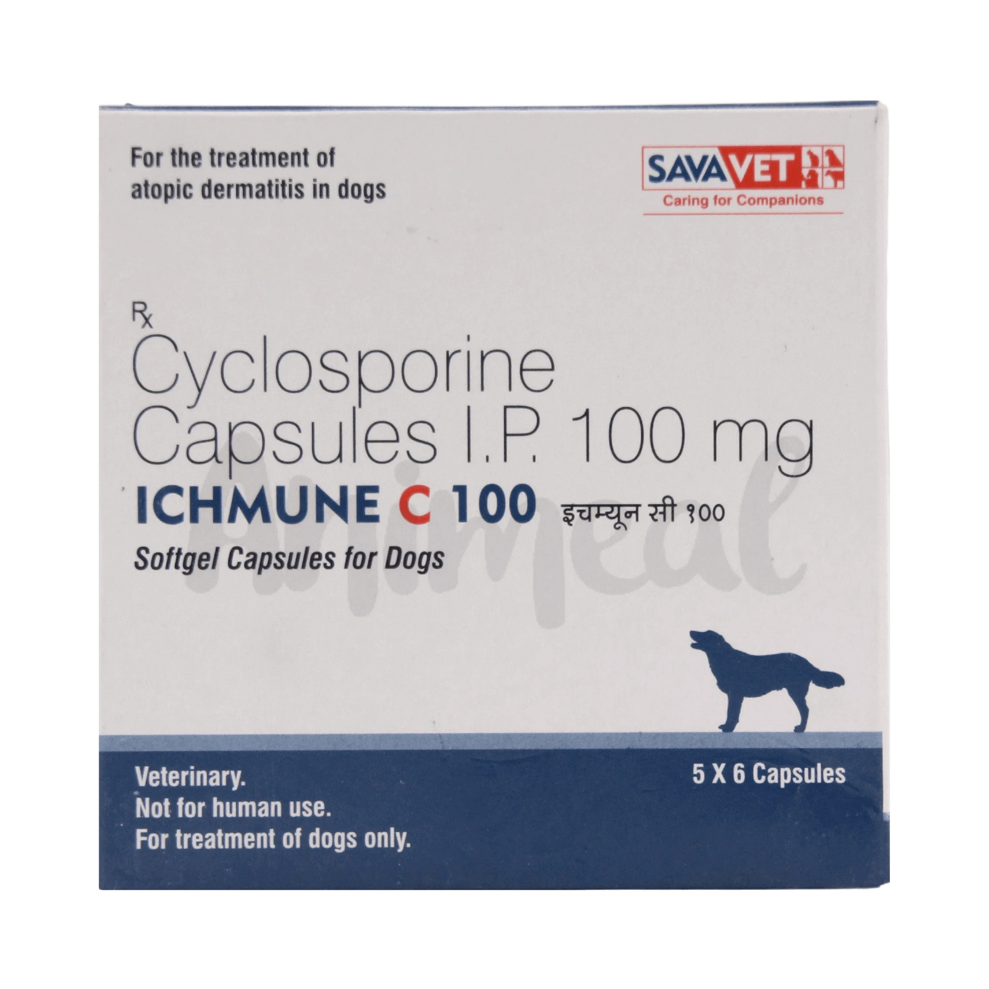 ICHMUNE C 100 CAPSULE - Animeal
