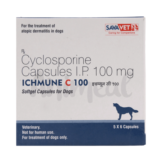ICHMUNE C 100 CAPSULE - Animeal