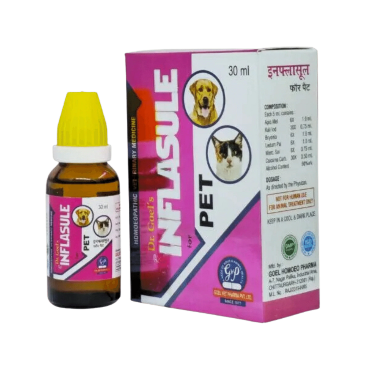 INFLASULE DROP - Animeal