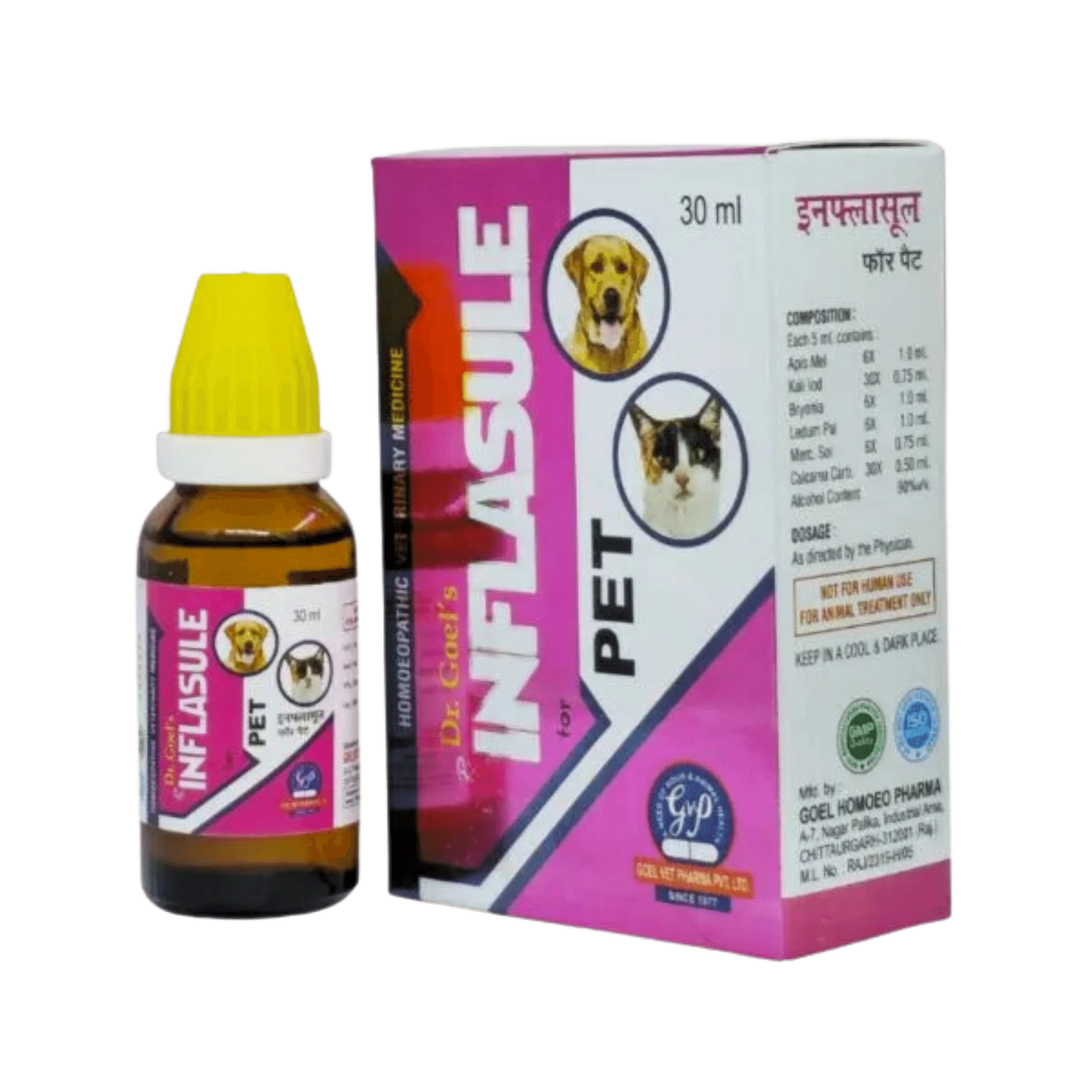 INFLASULE DROP - Animeal