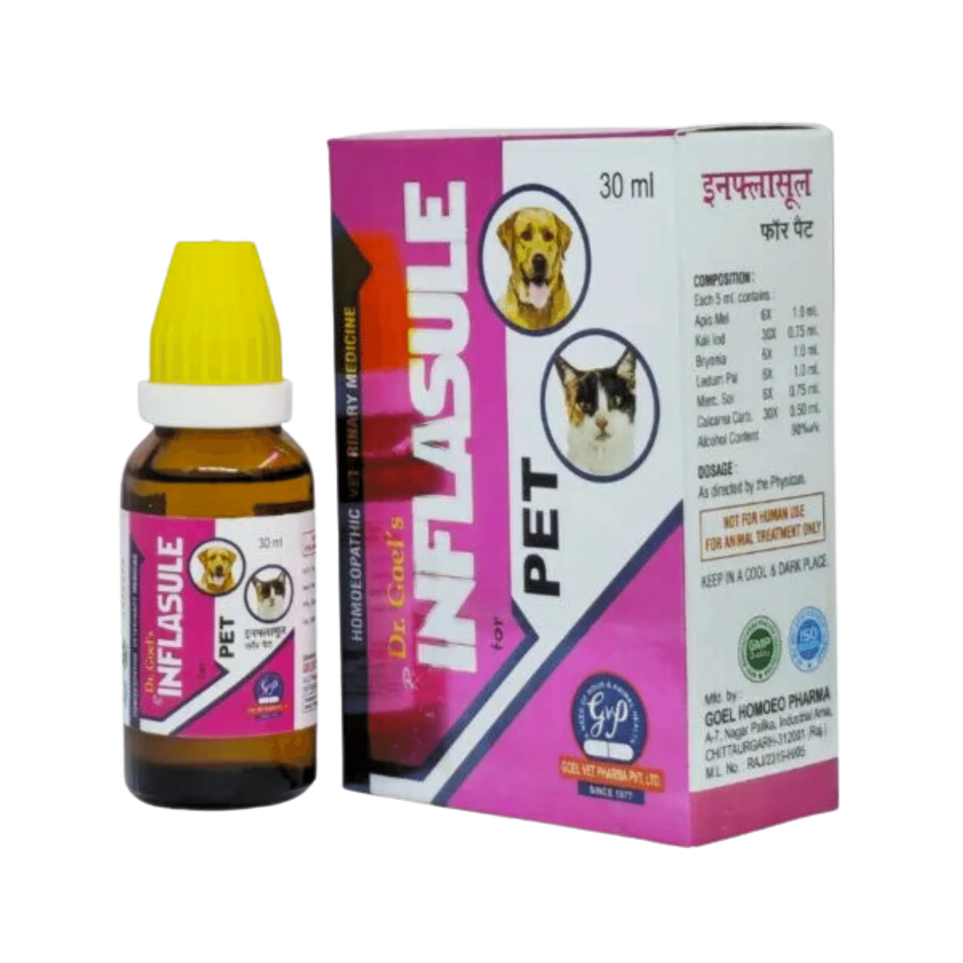 INFLASULE DROP - Animeal