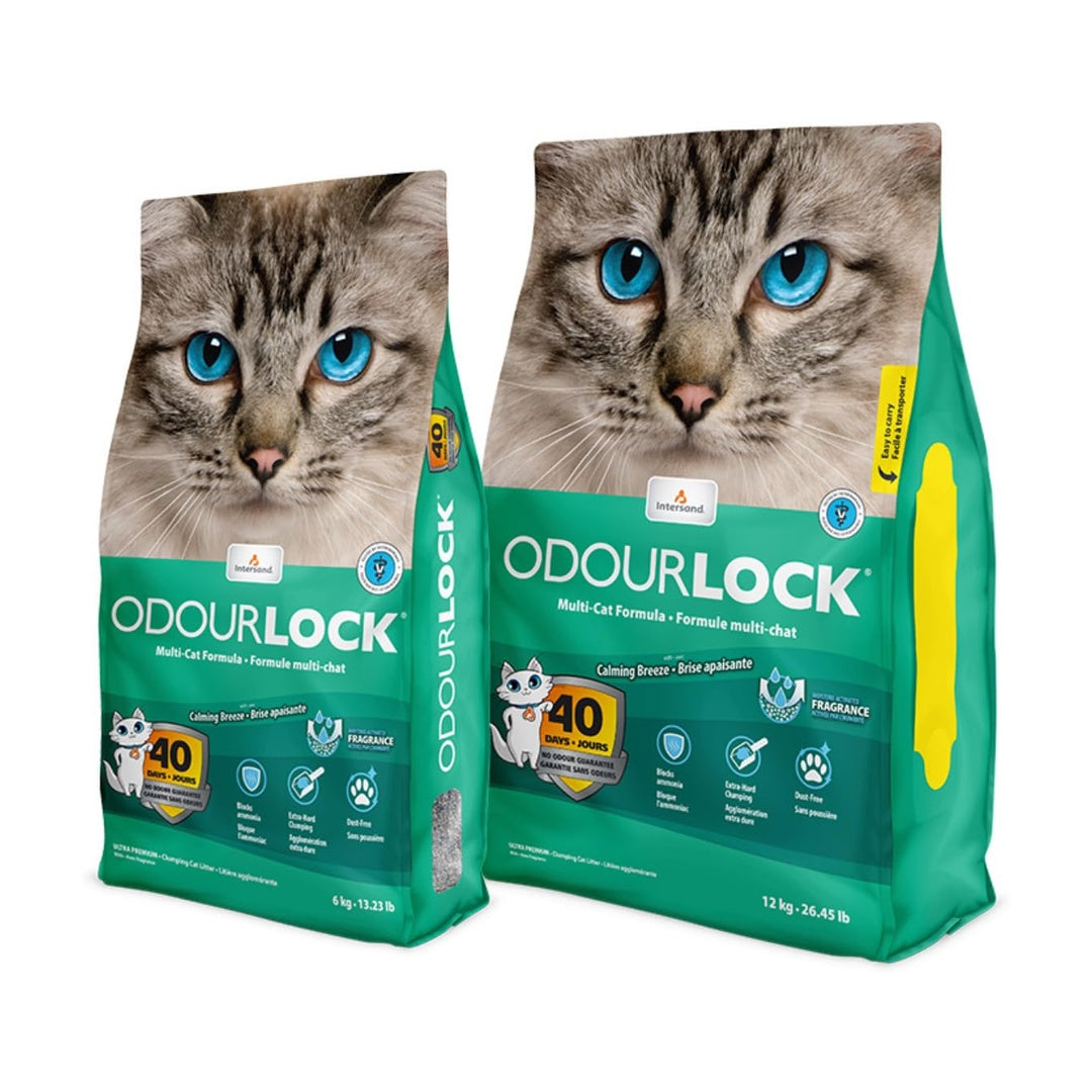 Intersand Odourlock Calming Breeze Cat Litter Moisture Activated Fragrance Block Ammonia Quick Absorption No Tracking  and Dust Free For All Breed 12 Kg