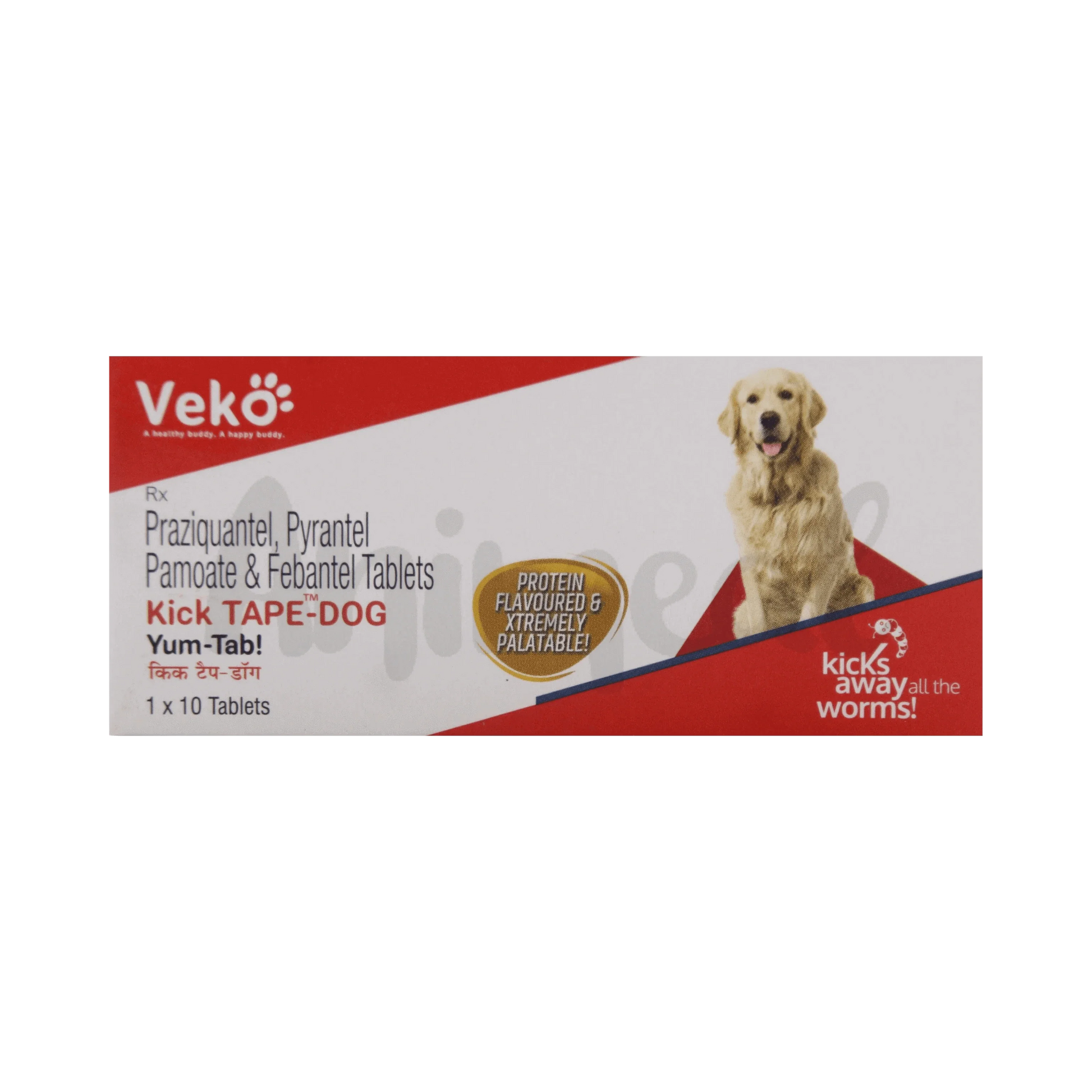 KICK TAPE DOG TABLET - Animeal