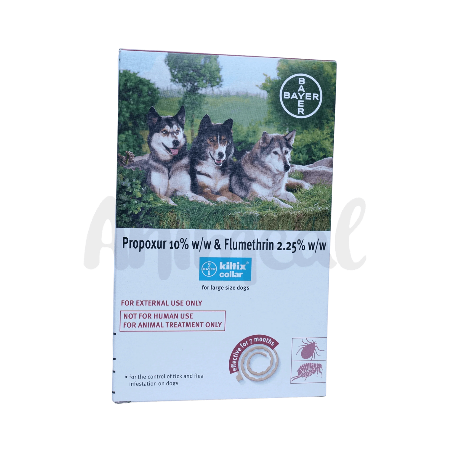 KILTIX LARGE DOG COLLAR - Animeal