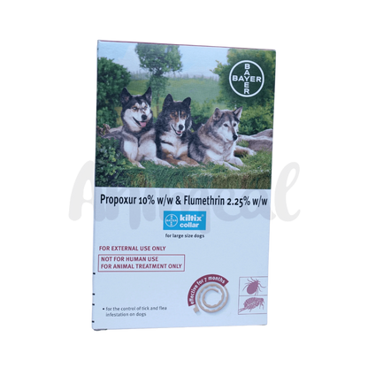 KILTIX LARGE DOG COLLAR - Animeal