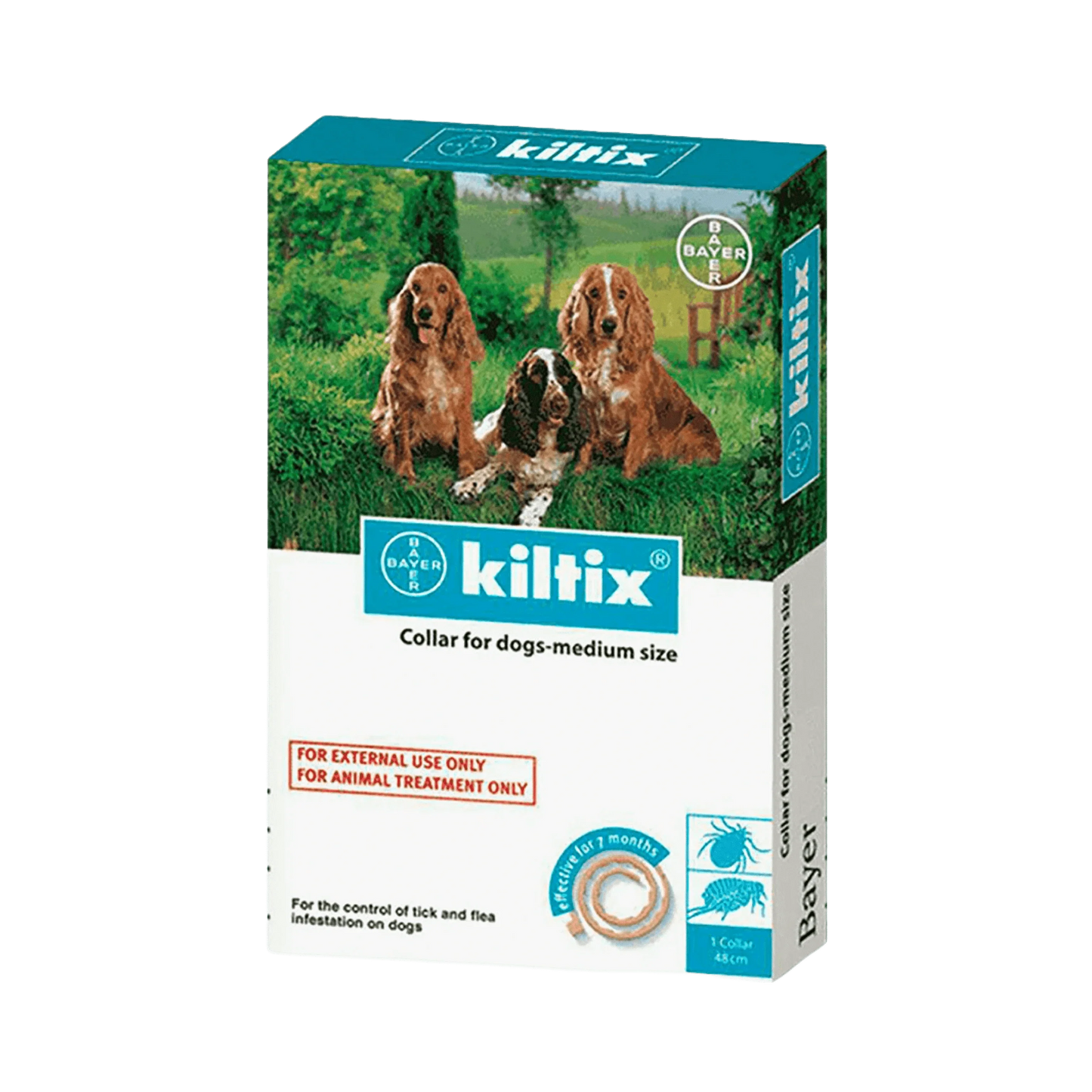 KILTIX MEDIUM DOG COLLAR - Animeal