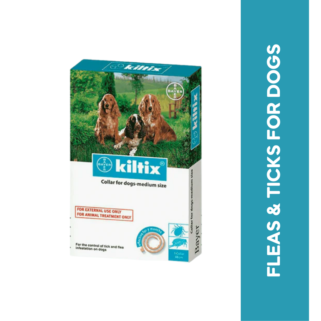 KILTIX MEDIUM DOG COLLAR - Animeal