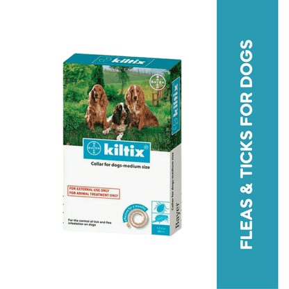 KILTIX MEDIUM DOG COLLAR - Animeal