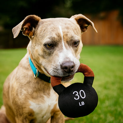 Talking Dog Club  KettleBell - Plush Toy for Dogs