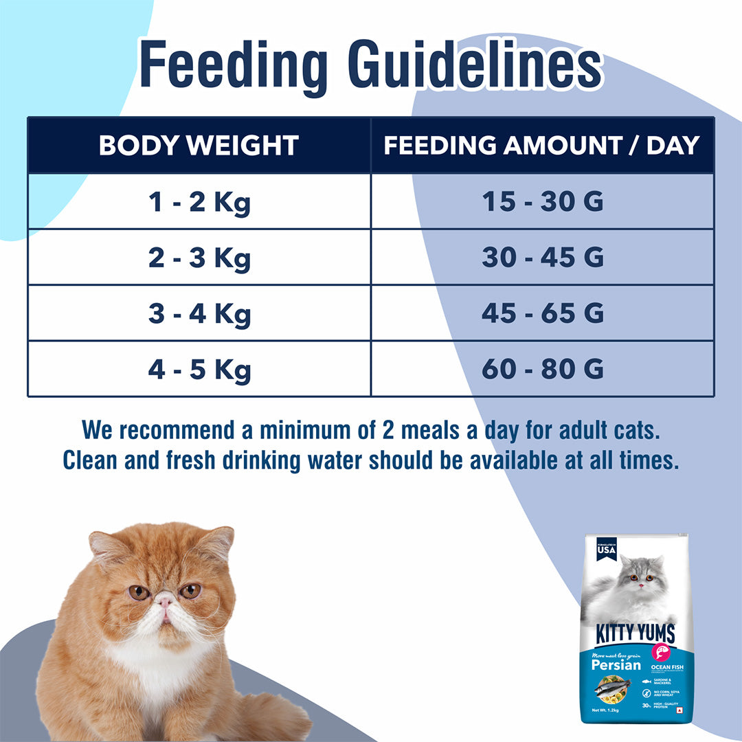 Kitty Yums Dry Persian Cat Food, Ocean Fish, 1.2kg