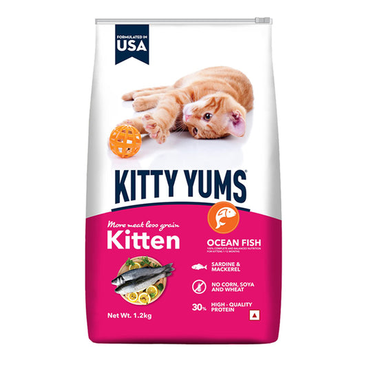 Kitty Yums Kitten(1-12 Months) Dry Cat Food, Ocean Fish, 1.2kg