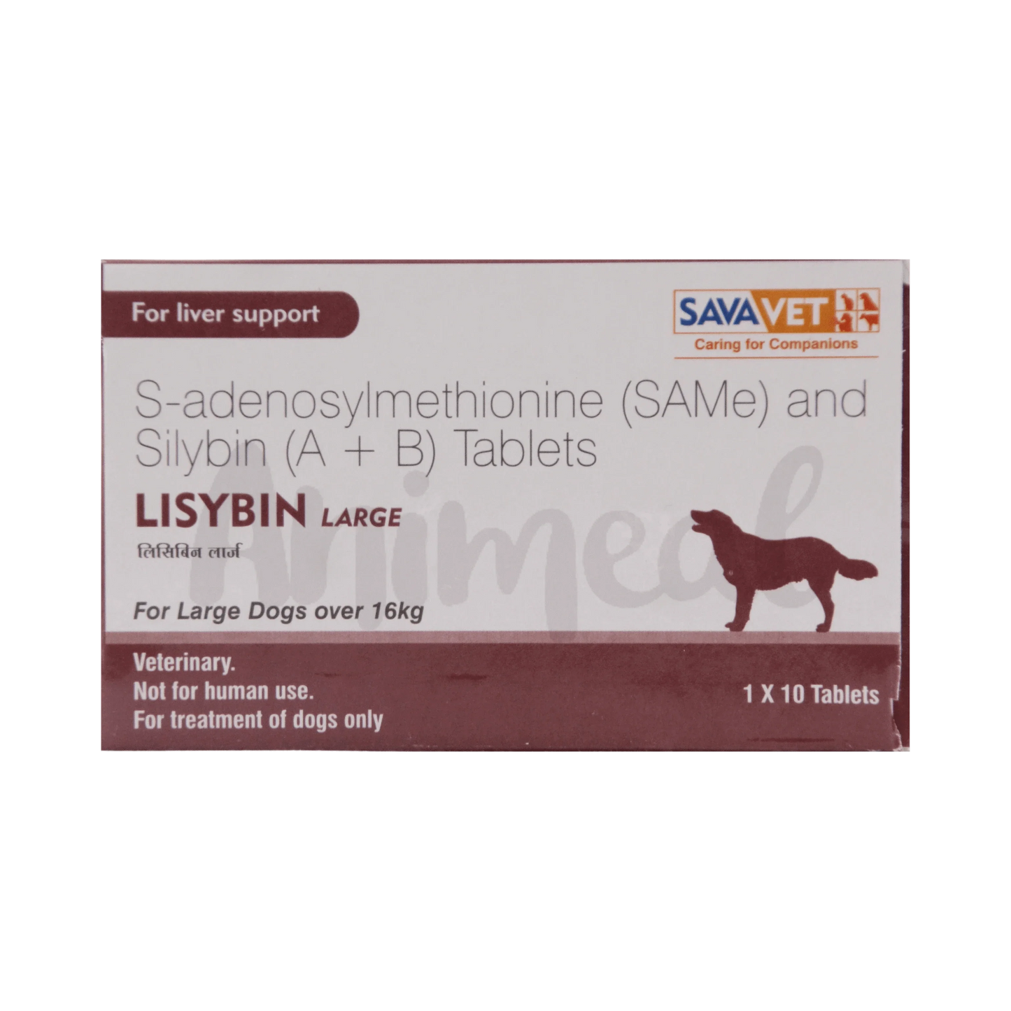 LISYBIN LARGE TABLET - Animeal