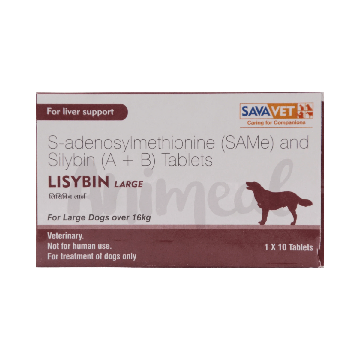 LISYBIN LARGE TABLET - Animeal