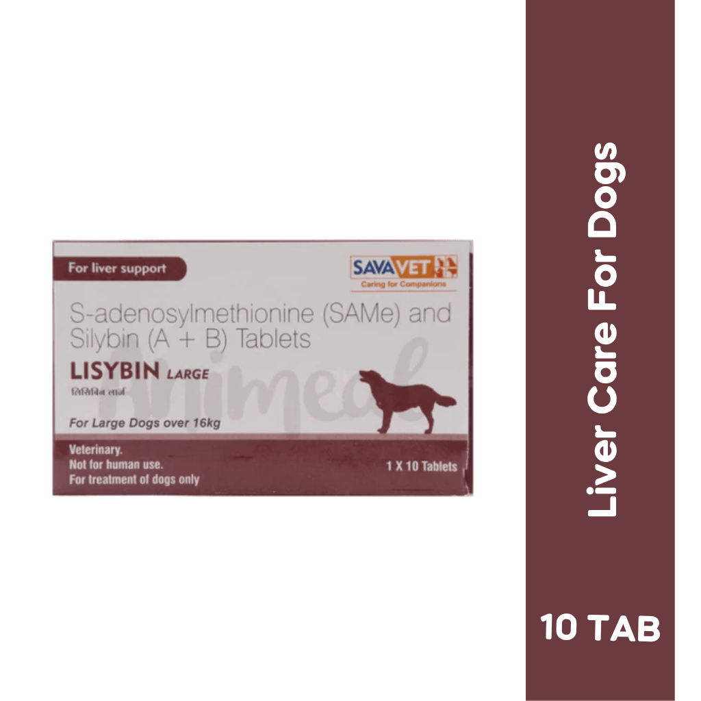 LISYBIN LARGE TABLET - Animeal