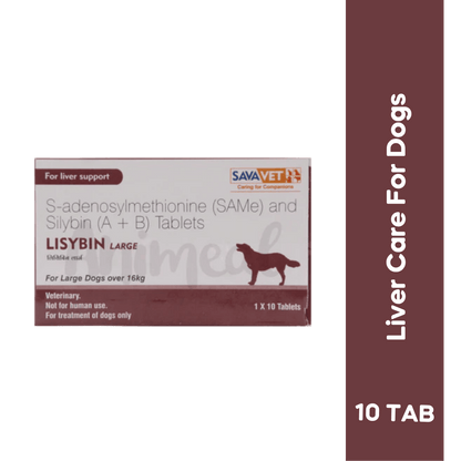 LISYBIN LARGE TABLET - Animeal