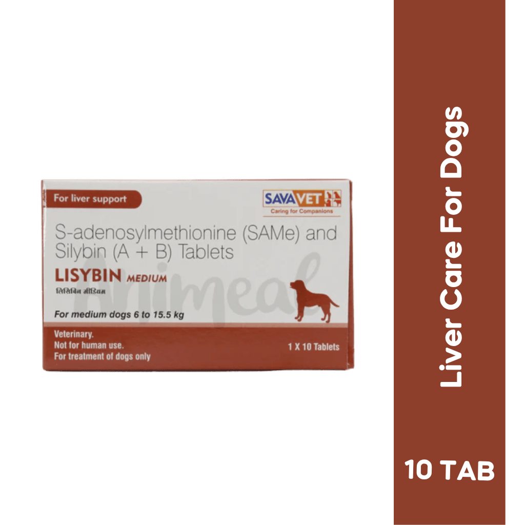LISYBIN MEDIUM TABLET - Animeal