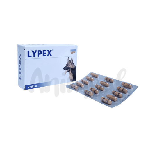 LYPEX CAPSULE - Animeal