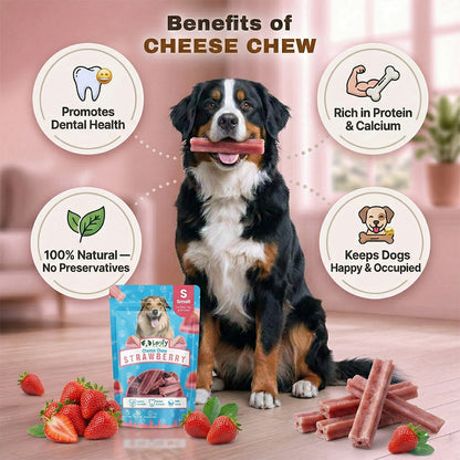 Leafy Paws Cheese Chew - Strawberry