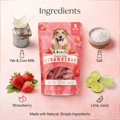 Leafy Paws Cheese Chew - Strawberry