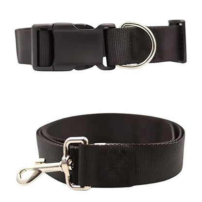 Bravo and Company Leash and Collar | Black