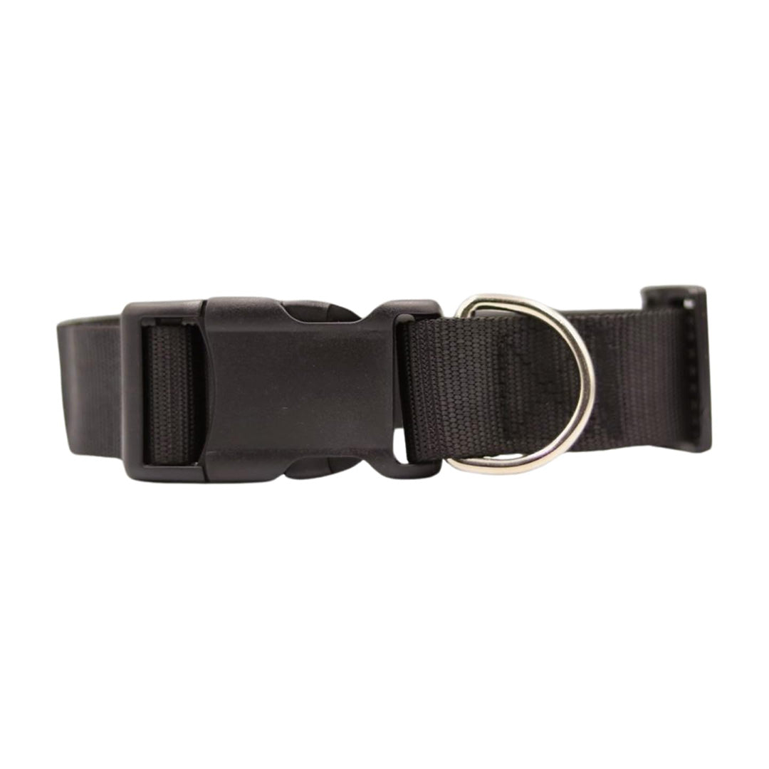 Bravo and Company Leash and Collar | Black